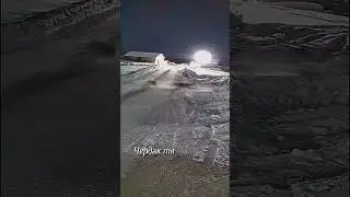 The wolves attacked the dogs.