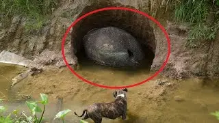 A man sees a weird object in the Riverbank—Ends up Changing history!