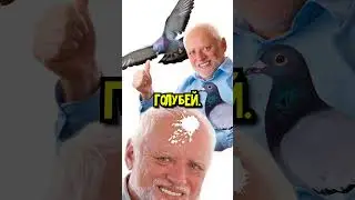 В Китае голуби это деликатес