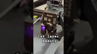 Ender 3 V3 SE First Layer Print 