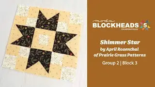 Blockheads 5 - Group 2 | Block 3: Shimmer Star by April Rosenthal