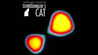 Lindsay Cooper – Schrödinger's Cat [Full Album]