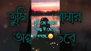 অন্ধের মত বিশ্বাস করছিলাম তোমাকে💔💫 ভালোবাসার গল্পঃ🥀#whatsapp #status #brokenheart #trending #vairal