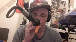 Chromatic harmonica,  kazoo blues practice