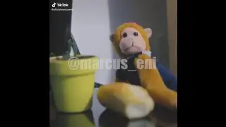 MACAQUINHO SEVERINO OH Juliana - Cadê O Meu Saguadin?