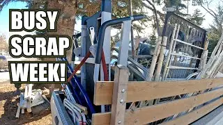 Dumpster Diving and Scrap Metal Adventures!