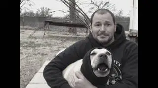 Fun memories with Cam The American Staffordshire Terrier Staffy