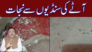Aatey Ki Sundi | Aaatey ki Sundee sai Najat Kaisey Hasil Karien
