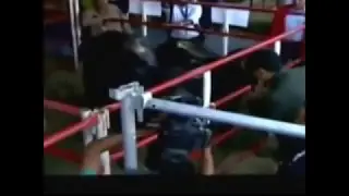 Lo que faltaba! el asesino Nicolas Maduro hablándole a las vacas!!! #Venezuela