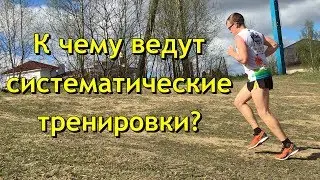 К чему ведут систематические тренировки? Дневник марафонца.