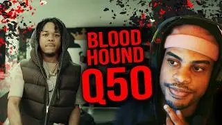 Bloodhound Q50 - First Day Out (REACTION) OPV