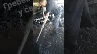 наводим порядок в уличном загоне у Пьетренов