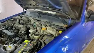 Плохой запуск двигателя на холодную  Daewoo Nexia