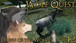 Learning the Dangers of A Wild Wolf's Life!! 🐺 WOLF QUEST: DAWN OF THE WOLVES 🐺 Episode #12
