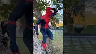 Spiderman helps everyone😍
