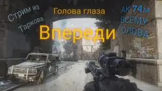 Тарков стрим