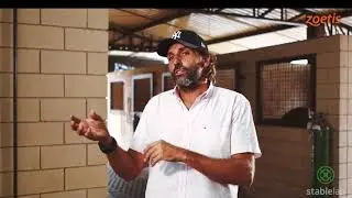 STABLELAB - Dr.  Alfredo Ferri