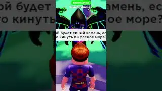 Сможет ли Игрок ответить на Все Мои Вопросы в PLS DONATE (ROBLOX)!! 