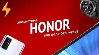 Экосистема honor Созрела?