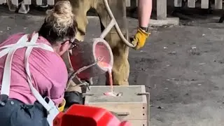 The origination of the ironworking industry