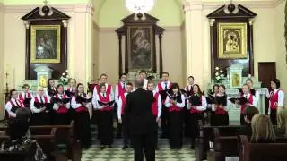 Кирило Стеценко "Cвятий Боже" ("Ave Musica" Choir, UA)