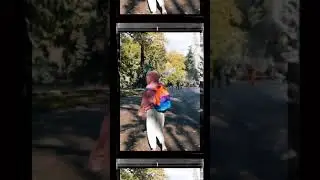IMG 6474