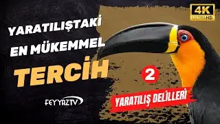 2- Yaratılıştaki en mükemmel tercih!