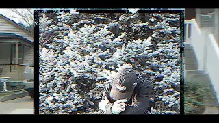 SLEEPWALKER - NUMB / I SEE U (music video)