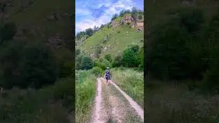 Берёзовское ущелье , Кисловодск