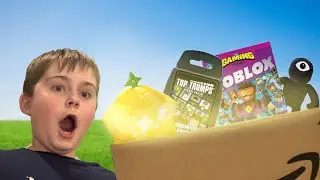 I brought every single roblox product