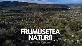 Peisajul de primavara din Poienarii de Muscel