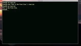 line by line file text access (bash scripting)