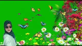 green screen video. copyright free video. green background. #greenscreenvideos. গ্রিন স্কিন ভিডিও।