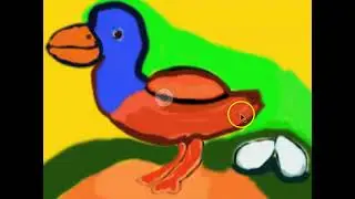 The Bird Words Sentences Eggs