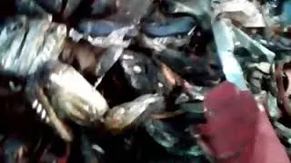 Магазин смешные сени