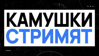 Дринкинс и Командор
