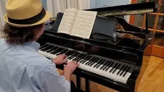 Chopin - Prelude No 4 in E Minor, Op 28