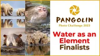 Water as an Element Finalists in The Pangolin Photo Challenge