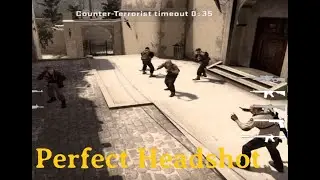 Perfect Headshot...