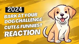 Best of 2024 Bark At Your Dog Challenge - Cute and Funny Dog Reaction