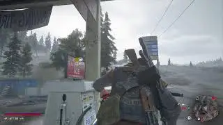 Chasing  Nero