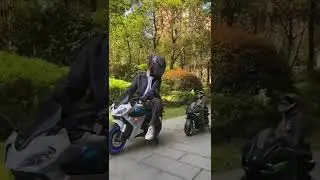 Кот мотоциклист #Tik Tok #Shorts #Тик Ток #ПриколКоты #Catstiktok