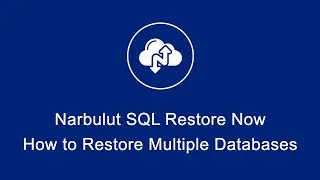 How to Restore Multiple Databases