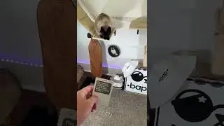 New Phone Who Dis?