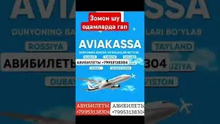 Зомон бошкача булдими😱 #tiktok #youtube #avto #дуэт #automobile #avtomobil АВИБИЛЕТЫ +79953138304