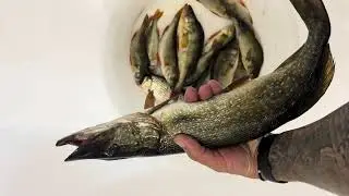 6 июня . Ишим . Родина. 👍#recommended #рекомендации #астана #fishing