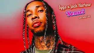 Tyga x Jack Harlow-Sensei (Tom Jung Edit) (Lyrics)