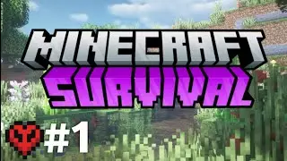 Nova Saga de Minecraft SURVIVAL ZONE #1