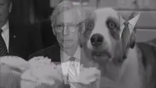 Mitch McConnell freeze meme - Republican Nightmares