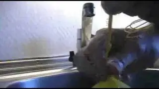 Glowing ice bulb